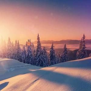 Meet your Posher, Perez